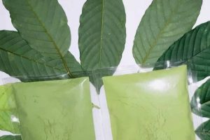 Ini Dia Manfaaat dan Efek Samping Daun Kratom, Apakah Seperti Pakai Narkoba?