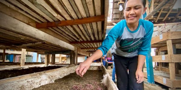 Kawasan lembang terkenal dengan peternakan sapi perah. Namun dalam pengelolaan limbah kotoran hewan masih sangat minim.