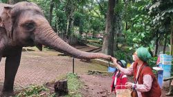 Gugatan dugaan pengambil alihan kepengurusan Bandung Zoo resmi dilayangkan oleh 8 orang pengurus yang menunjuk Pasopati Law Firm