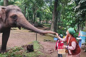 15 Orang Kepengurusan Pengelola Bandung Zoo Digugat!