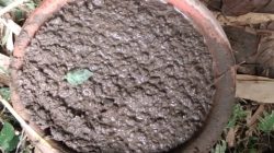 Terbongkar Proyek Saluran Irigasi di Desa Boyongsari Asal-asalan!